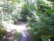 Турійськ з panoramio.com