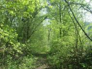 Маціорськ з panoramio.com