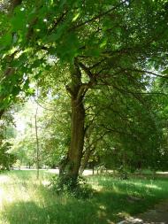 Народичі з panoramio.com