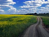 Братсько-Семенівка з panoramio.com