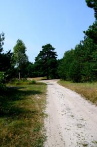 Стіжок з panoramio.com