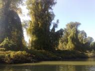 Стара Некрасівка з panoramio.com