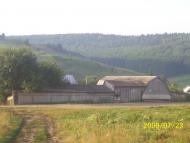 Рекшин з panoramio.com