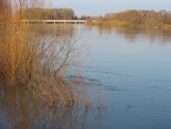 Озаричі з panoramio.com