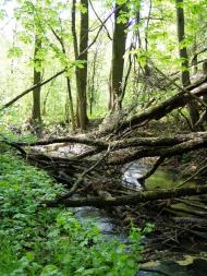 Садки з panoramio.com