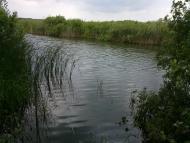 Засупоївка з panoramio.com