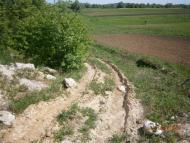 Дем'янка-Наддністрянська з panoramio.com