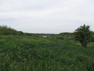 Чигринівка - Останні фото