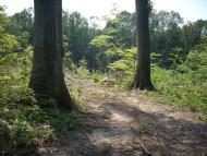 Ярок з panoramio.com