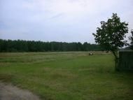 Горностаївка з panoramio.com