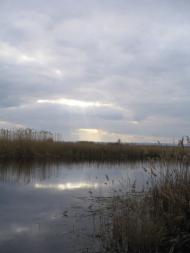 Пронозівка з panoramio.com