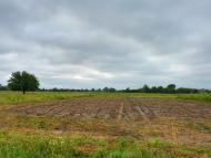 Вороніж з panoramio.com