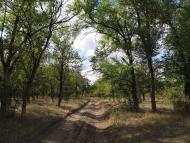 Нововоронцовка з panoramio.com