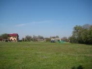 Кіпті з panoramio.com