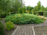 Оникієве з panoramio.com