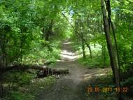 Садки з panoramio.com