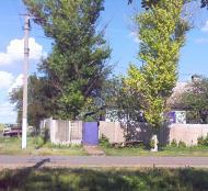 Нова Дмитрівка - Останні фото