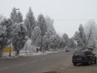 Пустомити з panoramio.com