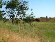 Петрівка з panoramio.com