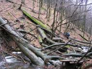 Березники з panoramio.com