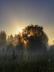 Олександрівка Друга з panoramio.com