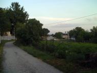 Великі Бірки з panoramio.com