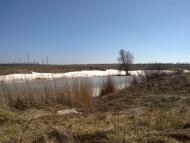 Ольгинка з panoramio.com