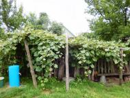 Тутовичі з panoramio.com