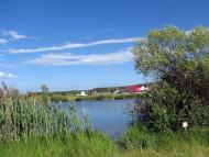 Соснівка з panoramio.com