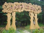 Волошки з panoramio.com