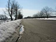 Свистунове - Останні фото