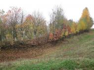 Загір'я-Кукільницьке з panoramio.com