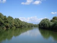 Кислиця з panoramio.com