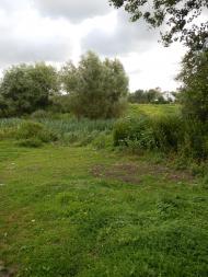 Черемошне з panoramio.com