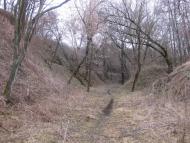 Садки з panoramio.com