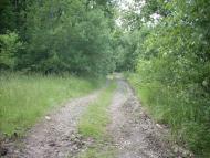 Ярок з panoramio.com