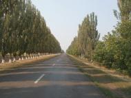 Лідіївка - Останні фото