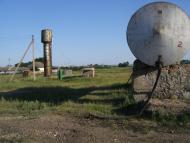 Виноградівка - Останні фото