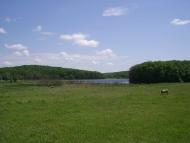 Лісна Поляна з panoramio.com