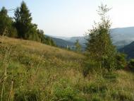 Поляна з panoramio.com - Поляна