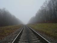 Соколівка з panoramio.com