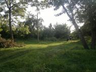 Семенівка з panoramio.com