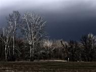 Слов'яносербськ з panoramio.com