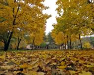 Троянів з panoramio.com