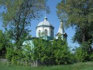 Рябина з panoramio.com