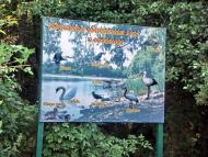 Ямпіль з panoramio.com