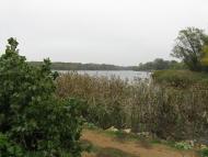 Василівка - Останні фото