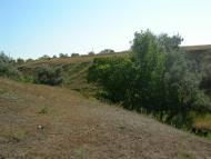 Пересадівка з panoramio.com