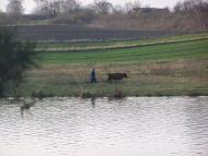 Лідихів з panoramio.com