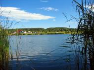 Соснівка з panoramio.com